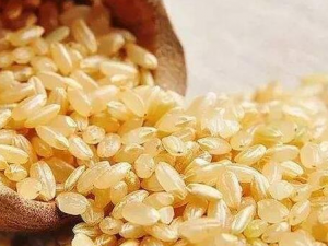 ���׵���ѳԷ� ������ô���źó���