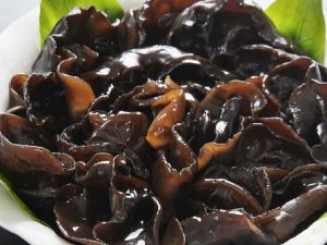 ľʳý Ѫз综ҪԺľ