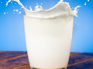 5���˺�ţ�̱״����� ��ţ�̵Ľ���