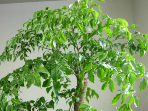 �˶�������Щ��Ч���� �˶����������