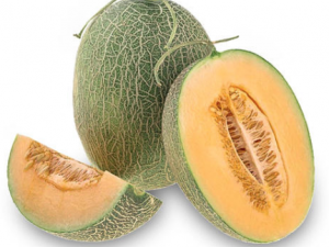 ���ܹ�Ӧ�����ѡ ʲô���Ĺ��ܹϺ���