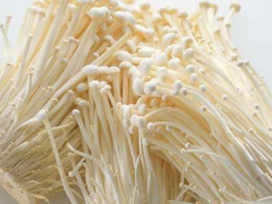 Ƣθ麮ߵʳ Ƣθ麮ٳԽ빽