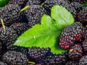 4��׳��ˮ����֪������Щ��