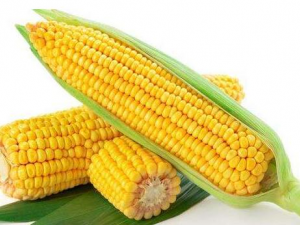 ��Щʳ���ܰ������ ʮ�ֹ���ʳ��Խ��Խ��