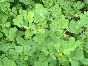 ����ޣ������Щ���� ����ޣ�����ܰͽ���