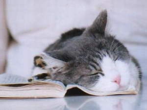 ���������ķ��� ������˯����Щ�ô�