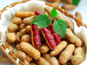 ���ܳԻ�������Ⱥ����Щ �Ի����Ľ���