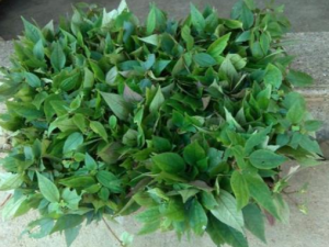 ��ͷ������Щ��Ч���� ��ͷ�������ȥ�λ��η�ʪ��ʹ