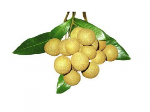 ��Բ�ɳԶ��˻����� �����Թ�Բ�ĺô�