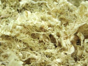 ����������Щ��Ч ������������Ѫ��θ��Ż��