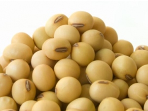 Ů���ճ���ʲô�������� Ů�Ա��������С����