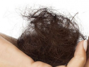 ����Ů��������Щ���� Ӧ�����Ӧ����