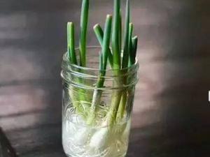 �а׵Ĺ�Ч���� �а����˺�����ͷʹ