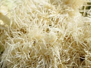 ����Ĺ�Ч���� ����ⷳ�Ȳ��������˺�ͷʹ