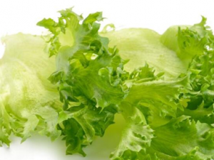 ������Ƚⶾ���������� �ļ������