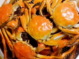 ��з��������Щ ��з��ô��Ӫ���ֽ���