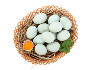 �и�����Ӧ��ν��� �и���������Ľ���