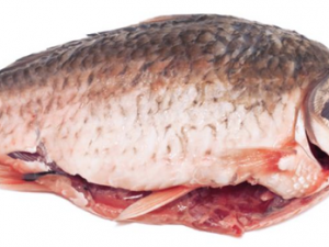 �и��ú�ʲô�����ź� �и�����ע������