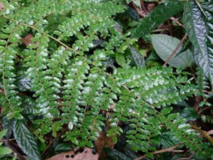 ����������Щ���� �����ٲ���ǿ�����¾�����