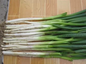 ��Щ�˲��˹���Դ� �е��Ĳ��ָ�Ӫ��