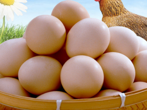 ��Щ����ϴ������ ����ϴ����������