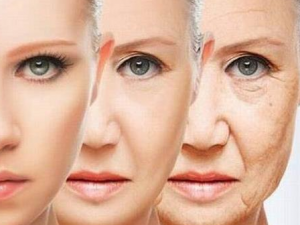 �ɳ��ڳ���Щʳ�￹˥���� 4�����˥�ϵ�ʳ��Ҫ�ٳ�