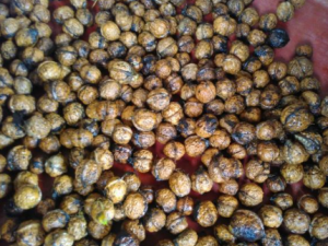 �غ��ҵĹ�Ч���� �غ����ε��˳�Ѫ