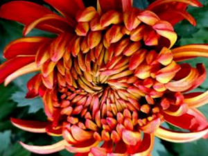 ��������Щ��Ч ���������˿ڳ�