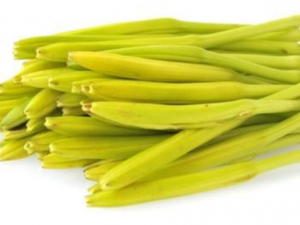 ��֪����Щʳ�ﲻ�������� һ����������