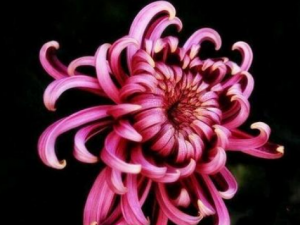 ��ͷ�յĹ�Ч���� ��ͷ����̵ֹ����̵������