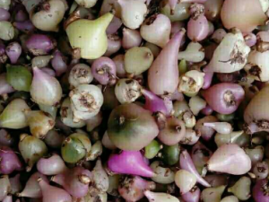 ��Ҷ��ܸ����Щ��Ч ��Ҷ��ܸ�����ην�˰��տ�