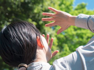 �������ʲôʳ����ʪ ��������ʪ����