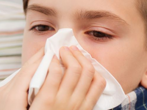 ��Щ��ʳ�˺��˺��� ������ʳ������