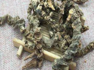 �����ߵĹ�Ч���� �������ε�������