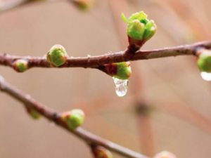 ��ˮ������η��� ������������ķ���