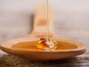 �������۲��˳�ʳ���� ���۵�ʳ�ý���