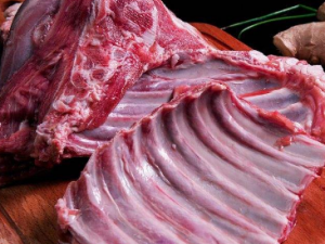 ������Ľ�������Щ ���ⲻ�����Ϲ�ͬʳ