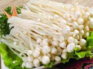 Ƥ��������ô�� �Խ��빽��Ԥ��Ƥ������