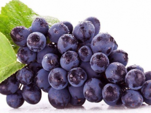 ����������ЩҪע��� ������Ҫע�����ʳ����