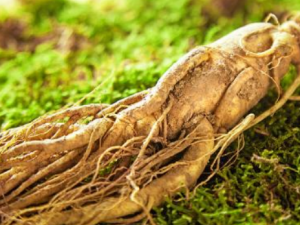 ������֢��ҩƫ�� ������֢Ӧ�������