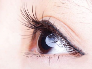 ��ζ��۲����л��� �۲��Ļ�������