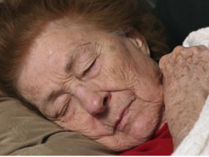 �����и����Ԥ���������  һ�����˽�һ�°�