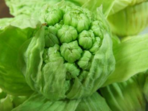 �䶷������Щ��Ч �䶷���ε�������