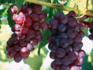 ������Ҫ֪����5������ ��ע�⵽����