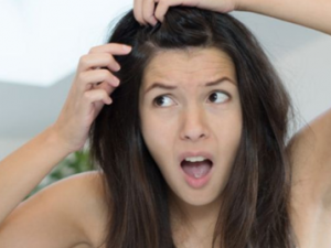 ���Ԥ���ѷ� Ƣθʪ�ȸ������������ѷ�