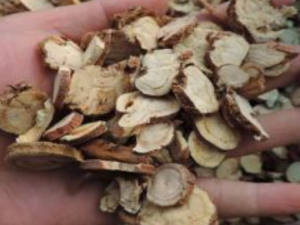 �ʲ�ͷ�Ĺ�Ч���� �ʲ�ͷ��Ӹ��������ҩ