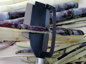 ����Ƥ�Ĺ�Ч���� ����Ƥ��С������