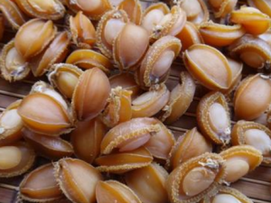 ����Ĺ�Ч���� �����澫��Ŀ�����ȹ���