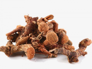 ����������Щ��Ч���� ��������Ƣθ�к�