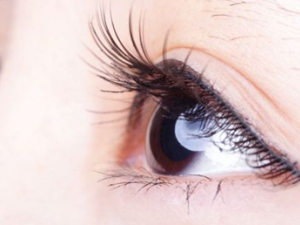 ��ζ��۲����л��� ����������Ĥ��